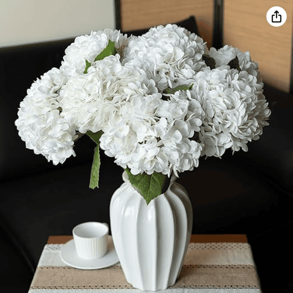 White Hydrangea